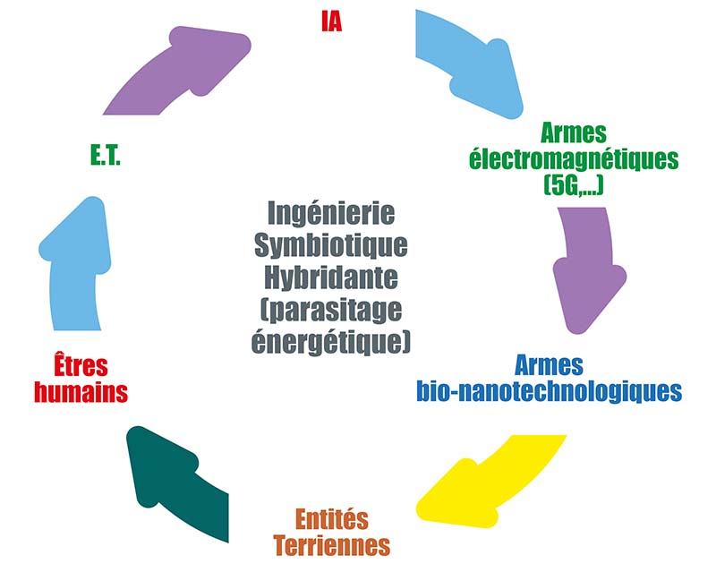 Ingenierie Symbiotique Hybridante